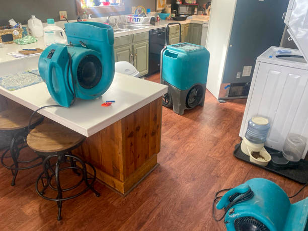 Best Basement water damage restoration  in Saint John Fisher College, NY