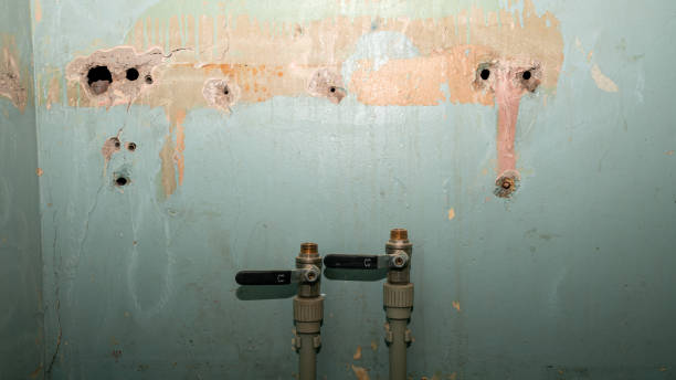 Best Water damage restoration near me  in Saint John Fisher College, NY